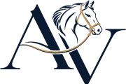 Avana Ventures Media Co.